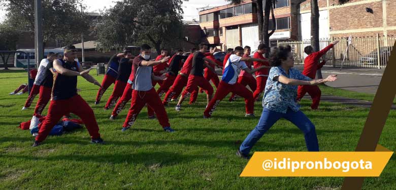 IDIPRON voluntariado 2020